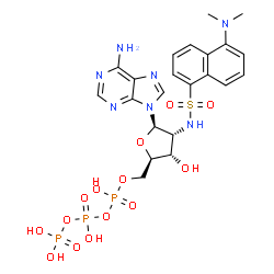 ChemSpider 2D Image | 2'-Deoxy-2'-({[5-(dimethylamino)-1-naphthyl]sulfonyl}amino)adenosine 5'-(tetrahydrogen triphosphate) | C22H28N7O14P3S