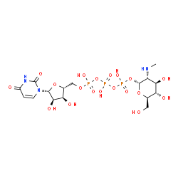 ChemSpider 2D Image | [(2R,3R,4R,5S,6R)-4,5-dihydroxy-6-(hydroxymethyl)-3-methylamino-tetrahydropyran-2-yl] [[[(2R,3S,4R,5R)-5-(2,4-dioxopyrimidin-1-yl)-3,4-dihydroxy-tetrahydrofuran-2-yl]methoxy-hydroxy-phosphoryl]oxy-hydroxy-phosphoryl] hydrogen phosphate | C16H28N3O19P3