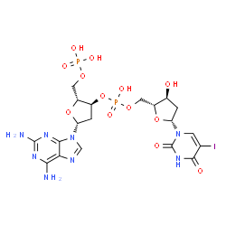 ChemSpider 2D Image | {(2R,3S,5R)-5-(2,6-Diamino-9H-purin-9-yl)-3-[(hydroxy{[(2R,3S,5R)-3-hydroxy-5-(5-iodo-2,4-dioxo-3,4-dihydro-1(2H)-pyrimidinyl)tetrahydro-2-furanyl]methoxy}phosphoryl)oxy]tetrahydro-2-furanyl}methyl di
hydrogen phosphate | C19H25IN8O13P2