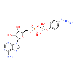 ChemSpider 2D Image | 5'-O-[{[(4-Azidophenoxy)(hydroxy)phosphoryl]oxy}(hydroxy)phosphoryl]adenosine | C16H18N8O10P2