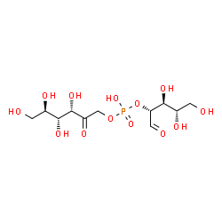 ChemSpider 2D Image | (3S,4R,5R)-3,4,5,6-Tetrahydroxy-2-oxohexyl (2R,3S,4S)-3,4,5-trihydroxy-1-oxo-2-pentanyl hydrogen phosphate | C11H21O13P