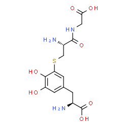 ChemSpider 2D Image | S-{5-[(2S)-2-Amino-2-carboxyethyl]-2,3-dihydroxyphenyl}-L-cysteinylglycine | C14H19N3O7S