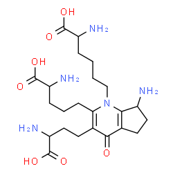 ChemSpider 2D Image | 6-[7-Amino-2-(4-amino-4-carboxybutyl)-3-(3-amino-3-carboxypropyl)-4-oxo-4,5,6,7-tetrahydro-1H-cyclopenta[b]pyridin-1-yl]norleucine | C23H37N5O7