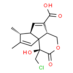 ChemSpider 2D Image | (4S,7R,7aR,9aR)-4-(Chloromethyl)-4-hydroxy-6,7-dimethyl-3-oxo-1,3,4,7,7a,9a-hexahydropentaleno[1,6a-c]pyran-9-carboxylic acid | C15H17ClO5