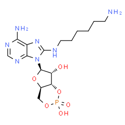 ChemSpider 2D Image | 8-AHA-cAMP | C16H26N7O6P