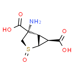 ChemSpider 2D Image | (1R,2S,4S,5S,6S)-4-Amino-2-thiabicyclo[3.1.0]hexane-4,6-dicarboxylic acid 2-oxide | C7H9NO5S