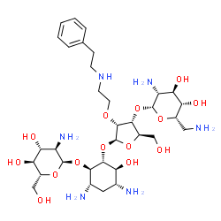ChemSpider 2D Image | (1R,2R,3S,4R,6S)-4,6-diamino-2-{[3-O-(2,6-diamino-2,6-dideoxy-beta-L-idopyranosyl)-2-O-{2-[(2-phenylethyl)amino]ethyl}-beta-D-ribofuranosyl]oxy}-3-hydroxycyclohexyl 2-amino-2-deoxy-alpha-D-glucopyranoside | C33H58N6O14