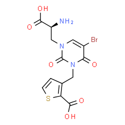 ChemSpider 2D Image | 3-({3-[(2S)-2-Amino-2-carboxyethyl]-5-bromo-2,6-dioxo-3,6-dihydro-1(2H)-pyrimidinyl}methyl)-2-thiophenecarboxylic acid | C13H12BrN3O6S
