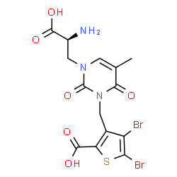 ChemSpider 2D Image | 3-({3-[(2S)-2-Amino-2-carboxyethyl]-5-methyl-2,6-dioxo-3,6-dihydro-1(2H)-pyrimidinyl}methyl)-4,5-dibromo-2-thiophenecarboxylic acid | C14H13Br2N3O6S