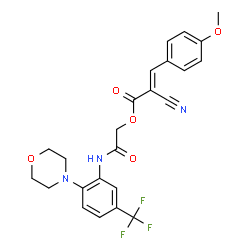 ChemSpider 2D Image | 2-{[2-(4-Morpholinyl)-5-(trifluoromethyl)phenyl]amino}-2-oxoethyl (2E)-2-cyano-3-(4-methoxyphenyl)acrylate | C24H22F3N3O5
