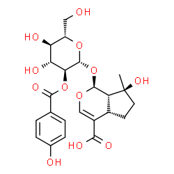 ChemSpider 2D Image | (1S,4aS,7S,7aS)-7-Hydroxy-1-{[2-O-(4-hydroxybenzoyl)-beta-L-glucopyranosyl]oxy}-7-methyl-1,4a,5,6,7,7a-hexahydrocyclopenta[c]pyran-4-carboxylic acid | C23H28O12