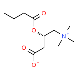 ChemSpider 2D Image | (3S)-3-(Butyryloxy)-4-(trimethylammonio)butanoate | C11H21NO4