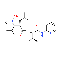 ChemSpider 2D Image | N~2~-{(2R,3S)-3-[Formyl(hydroxy)amino]-2-isobutyl-4-methylpentanoyl}-N-2-pyridinyl-L-isoleucinamide | C22H36N4O4