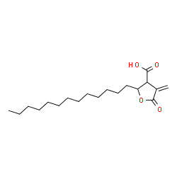 ChemSpider 2D Image | 4-Methylene-5-oxo-2-tridecyltetrahydro-3-furancarboxylic acid | C19H32O4