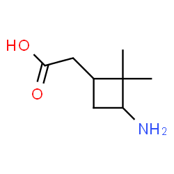 ChemSpider 2D Image | (3-Amino-2,2-dimethylcyclobutyl)acetic acid | C8H15NO2