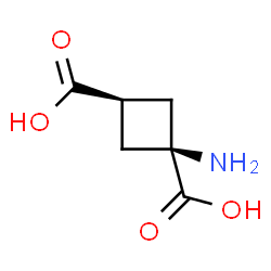 ChemSpider 2D Image | cis-1-Amino-1,3-cyclobutanedicarboxylic acid | C6H9NO4