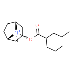 ChemSpider 2D Image | (3-endo)-8,8-Dimethyl-3-[(2-propylpentanoyl)oxy]-8-azoniabicyclo[3.2.1]octane | C17H32NO2