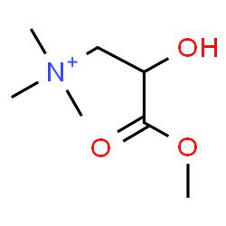 ChemSpider 2D Image | 2-Hydroxy-3-methoxy-N,N,N-trimethyl-3-oxo-1-propanaminium | C7H16NO3