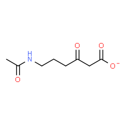 ChemSpider 2D Image | 6-Acetamido-3-oxohexanoate | C8H12NO4