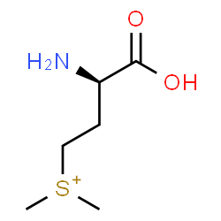 ChemSpider 2D Image | [(3R)-3-Amino-3-carboxypropyl](dimethyl)sulfonium | C6H14NO2S