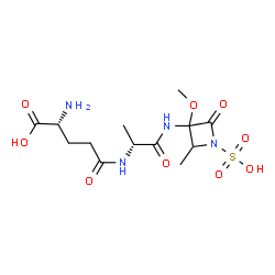 ChemSpider 2D Image | D-gamma-Glutamyl-N-(3-methoxy-2-methyl-4-oxo-1-sulfo-3-azetidinyl)-D-alaninamide | C13H22N4O9S