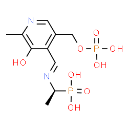 ChemSpider 2D Image | (1S)-1-[((1E)-{3-HYDROXY-2-METHYL-5-[(PHOSPHONOOXY)METHYL]PYRIDIN-4-YL}METHYLENE)AMINO]ETHYLPHOSPHONIC ACID | C10H16N2O8P2