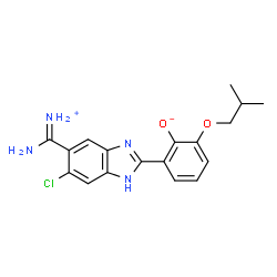 ChemSpider 2D Image | 2-{5-[Ammonio(imino)methyl]-6-chloro-1H-benzimidazol-2-yl}-6-isobutoxyphenolate | C18H19ClN4O2