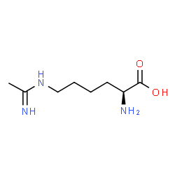 ChemSpider 2D Image | N(6)-acetimidoyl-L-lysine | C8H17N3O2