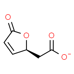 ChemSpider 2D Image | (S)-5-Oxo-2,5-dihydrofuran-2-acetate | C6H5O4