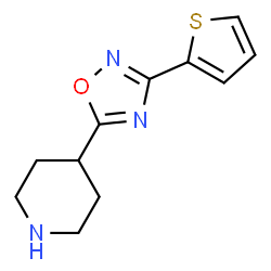 ChemSpider 2D Image | 4-[3-(2-Thienyl)-1,2,4-oxadiazol-5-yl]piperidine | C11H13N3OS