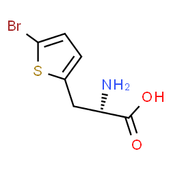 ChemSpider 2D Image | 3-(5-Bromo-2-thienyl)alanine | C7H8BrNO2S