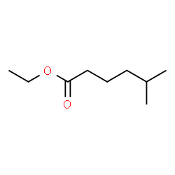 ChemSpider 2D Image | Ethyl 5-methylhexanoate | C9H18O2