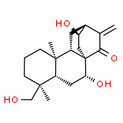ChemSpider 2D Image | (5beta,7alpha,8alpha,9beta,10alpha,12alpha,13R)-7,13,19-Trihydroxyatis-16-en-15-one | C20H30O4