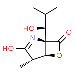 ChemSpider 2D Image | (1R,4S,5S)-1-[(1S)-1-Hydroxy-2-methylpropyl]-4-methyl-6-oxa-2-azabicyclo[3.2.0]heptane-3,7-dione | C10H15NO4