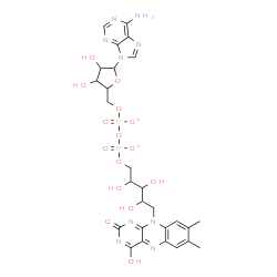 ChemSpider 2D Image | [[(2S,3R,4R,5S)-5-(6-aminopurin-9-yl)-3,4-dihydroxy-tetrahydrofuran-2-yl]methoxy-oxido-phosphoryl] [(2S,3R,4R)-2,3,4-trihydroxy-5-(4-hydroxy-7,8-dimethyl-2-oxo-benzo[g]pteridin-10-yl)pentyl] phosphate | C27H31N9O15P2
