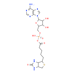 ChemSpider 2D Image | 9-[5-O-(Hydroxy{[5-(2-oxohexahydro-1H-thieno[3,4-d]imidazol-4-yl)pentanoyl]oxy}phosphoryl)pentofuranosyl]-9H-purin-6-amine | C20H28N7O9PS