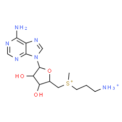 ChemSpider 2D Image | 3-[[5-(6-aminopurin-9-yl)-3,4-dihydroxy-tetrahydrofuran-2-yl]methyl-methyl-sulfonio]propylammonium | C14H24N6O3S