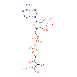 ChemSpider 2D Image | [(2R,3R,4S,5S)-2-(6-aminopurin-9-yl)-4-hydroxy-5-[[oxido-[oxido-[[(2R,3S,4R,5R)-3,4,5-trihydroxytetrahydrofuran-2-yl]methoxy]phosphoryl]oxy-phosphoryl]oxymethyl]tetrahydrofuran-3-yl] hydrogen phosphate | C15H21N5O17P3