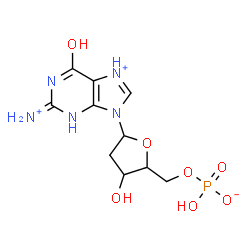 ChemSpider 2D Image | 2-Ammonio-9-[2-deoxy-5-O-(hydroxyphosphinato)pentofuranosyl]-6-oxo-6,9-dihydro-1H-purin-7-iumato | C10H15N5O7P