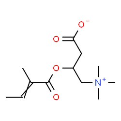 ChemSpider 2D Image | 3-[(2-Methyl-2-butenoyl)oxy]-4-(trimethylammonio)butanoate | C12H21NO4