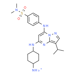 ChemSpider 2D Image | 4-[(7-{[4-(Dimethylsulfamoyl)phenyl]amino}-3-isopropylpyrazolo[1,5-a]pyrimidin-5-yl)amino]cyclohexanaminium | C23H34N7O2S