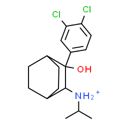 ChemSpider 2D Image | 3-(3,4-Dichlorophenyl)-3-hydroxy-N-isopropylbicyclo[2.2.2]octan-2-aminium | C17H24Cl2NO