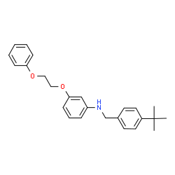 ChemSpider 2D Image | N-[(4-tert-butylphenyl)methyl]-3-(2-phenoxyethoxy)aniline | C25H29NO2
