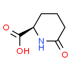 ChemSpider 2D Image | D-Pyrohomoglutamic Acid | C6H9NO3