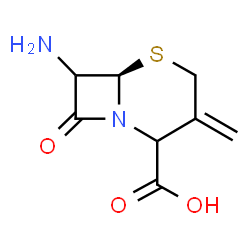 ChemSpider 2D Image | 7-amino-3-methylenecepham-4-carboxylic acid | C8H10N2O3S