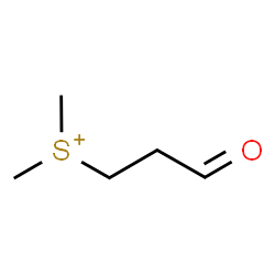 ChemSpider 2D Image | Dimethyl(3-oxopropyl)sulfonium | C5H11OS