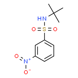 ChemSpider 2D Image | N-tert-butyl 3-nitrobenzenesulfonamide | C10H14N2O4S