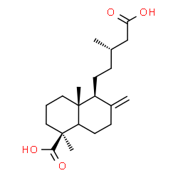 ChemSpider 2D Image | (1S,4aR,5S)-5-[(3S)-4-Carboxy-3-methylbutyl]-1,4a-dimethyl-6-methylenedecahydro-1-naphthalenecarboxylic acid | C20H32O4