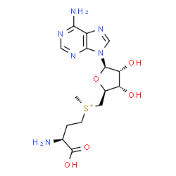 ChemSpider 2D Image | [(3S)-3-Amino-3-carboxypropyl]{[(2S,3S,4R,5R)-5-(6-amino-9H-purin-9-yl)-3,4-dihydroxytetrahydro-2-furanyl]methyl}methylsulfonium | C15H23N6O5S