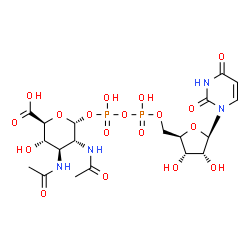 ChemSpider 2D Image | UDP-2,3-diacetamido-2,3-dideoxy-alpha-D-glucuronic acid | C19H28N4O18P2
